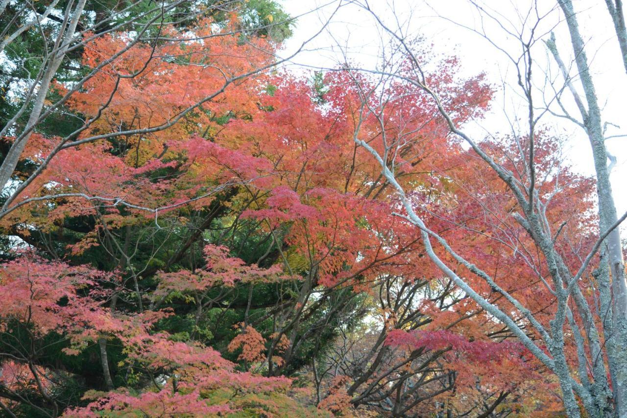 ゆふいん森のホテルShan-Jewel 由布市 エクステリア 写真
